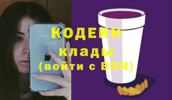 хмурый Покачи