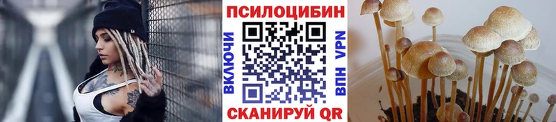 Псилоцибиновые грибы GOLDEN TEACHER  закладки  нарко площадка Telegram  Вольск 